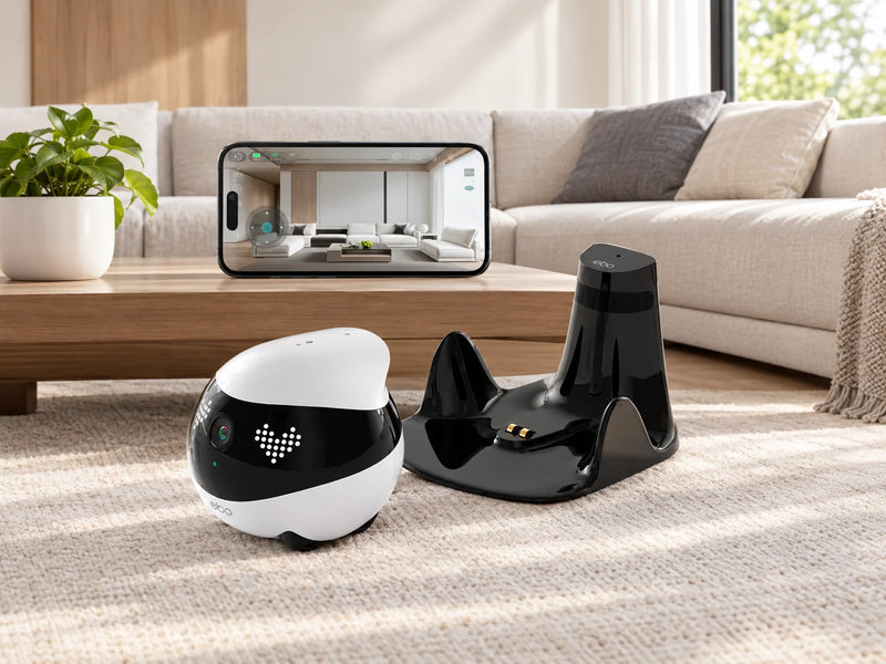 Companion Robots
